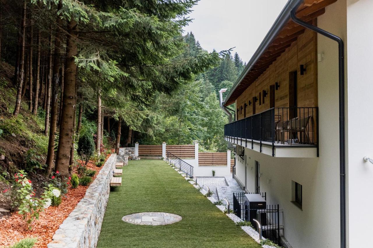 Hotel Ina Borşa Exterior foto